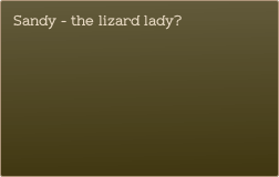 Sandy - the lizard lady?
