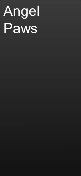 Angel
Paws
